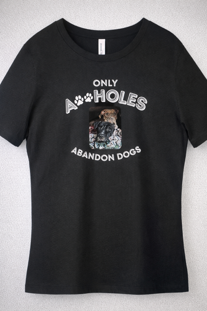 Only A-Holes T-Shirt  - Molly & Lady