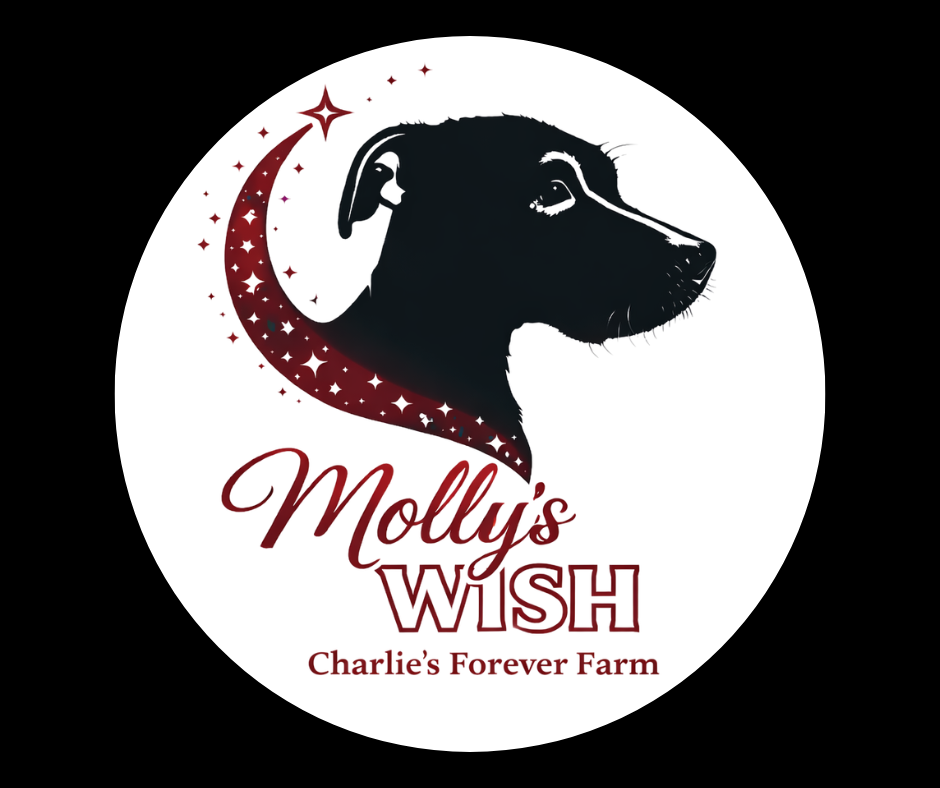 Molly's Wish Logo Automobile Sticker